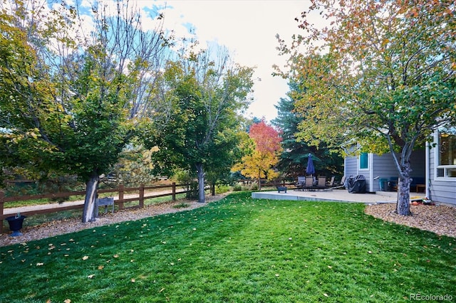 view of yard featuring a patio