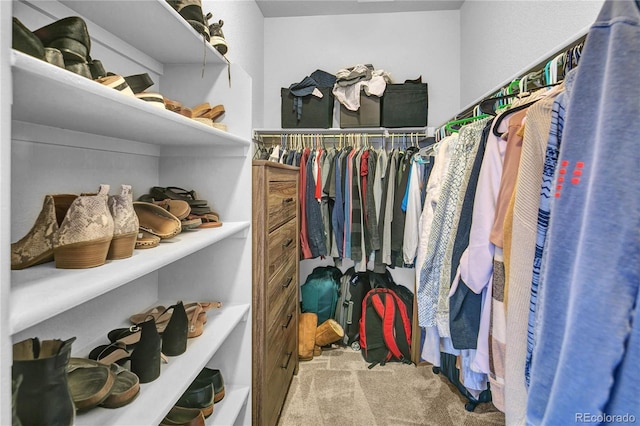 spacious closet with light carpet