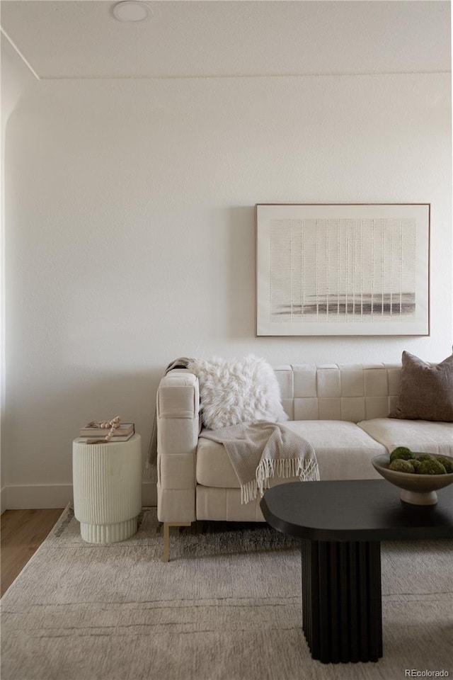 living area with light hardwood / wood-style flooring