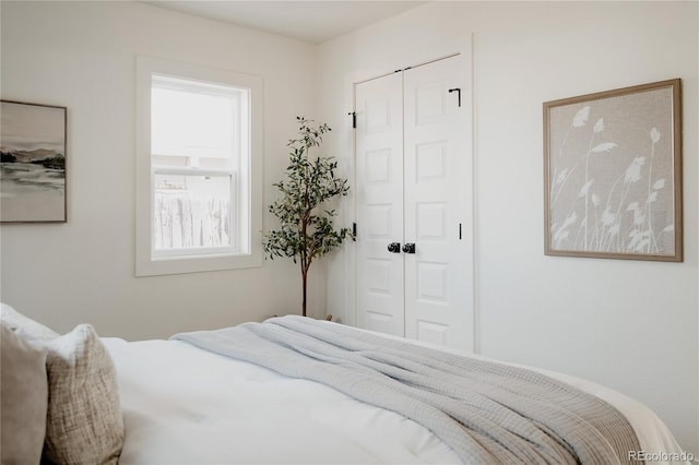 bedroom with multiple windows and a closet