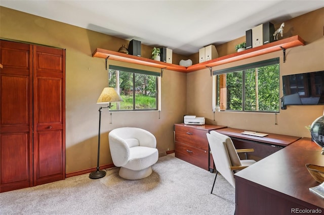20033 Silver Ranch Rd, Conifer, CO 80433 - home office featuring light carpet and healthy amount of natural light