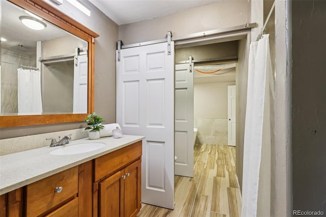 20033 Silver Ranch Rd, Conifer, CO 80433 - bathroom with vanity, wood finished floors, and a shower with curtain