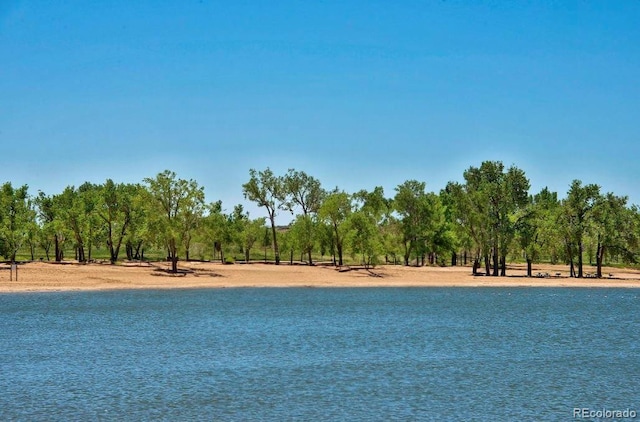 water view with a tree filled landscape