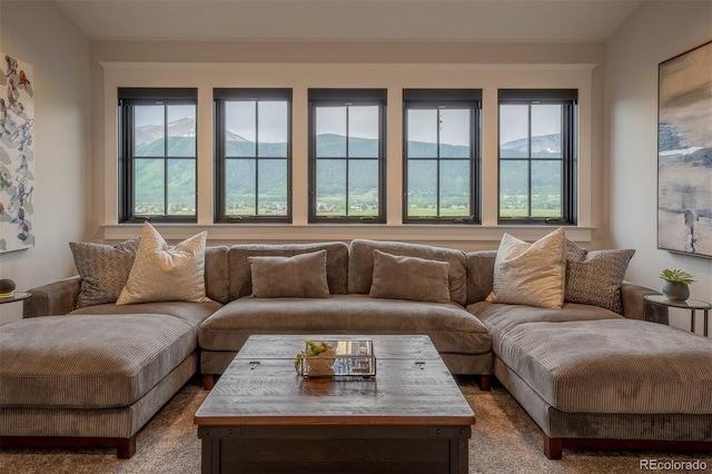 921 County Road 317, Crested Butte, CO 81224 - view of carpeted living room