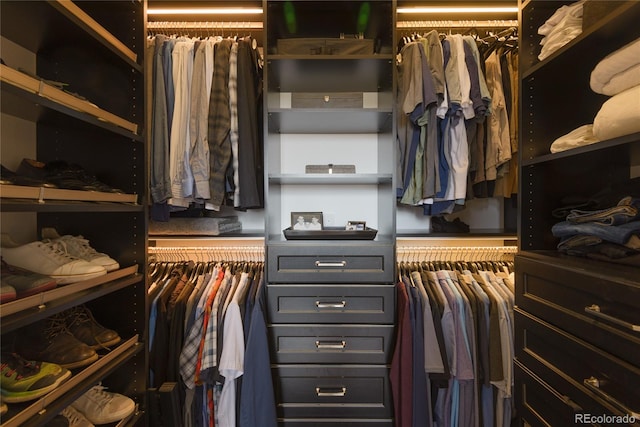 view of spacious closet