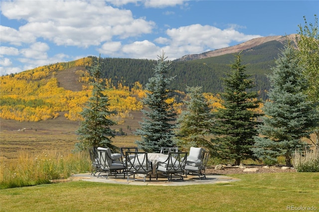921 County Road 317, Crested Butte, CO 81224 - view of mountain background featuring a forest