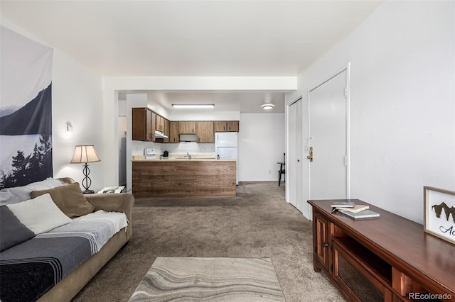5995 W Hampden Ave Unit 20B, Denver, CO 80227 - living area featuring light colored carpet