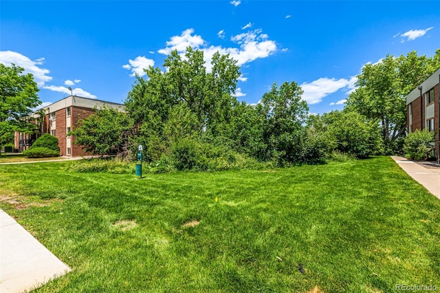 5995 W Hampden Ave Unit 20B, Denver, CO 80227 - view of grassy yard