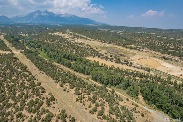 7925 Cozart Ln, Salida, CO 81201 - photo 5