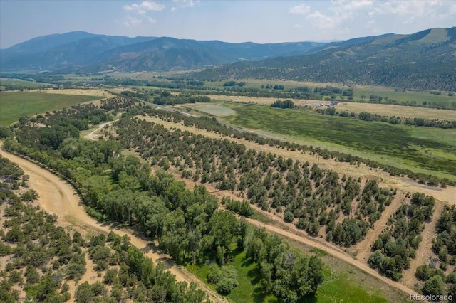 7925 Cozart Ln, Salida, CO 81201 - photo 6