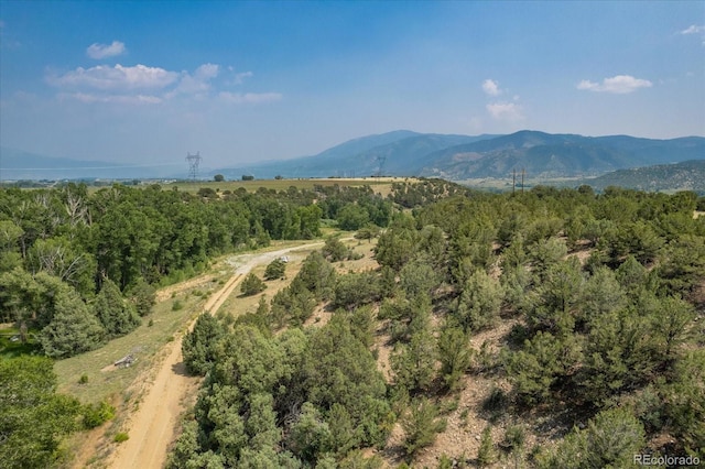 7925 Cozart Ln, Salida, CO 81201 - photo 12