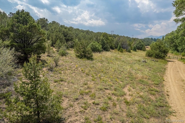 7925 Cozart Ln, Salida, CO 81201 - photo 13