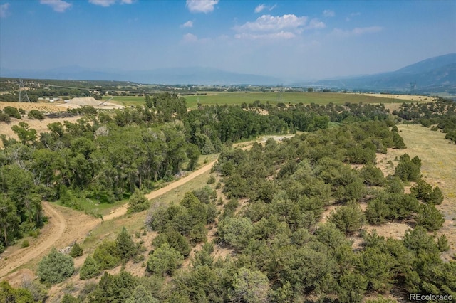7925 Cozart Ln, Salida, CO 81201 - photo 14