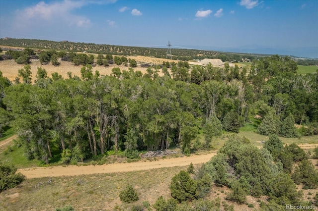 7925 Cozart Ln, Salida, CO 81201 - photo 19