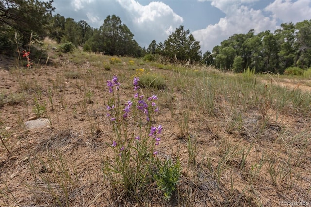 7925 Cozart Ln, Salida, CO 81201 - photo 20