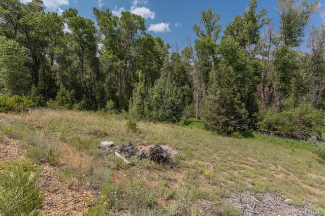 7925 Cozart Ln, Salida, CO 81201 - photo 21