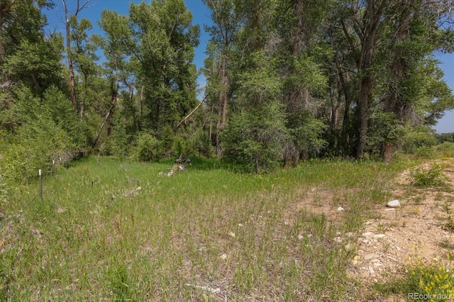 7925 Cozart Ln, Salida, CO 81201 - photo 23