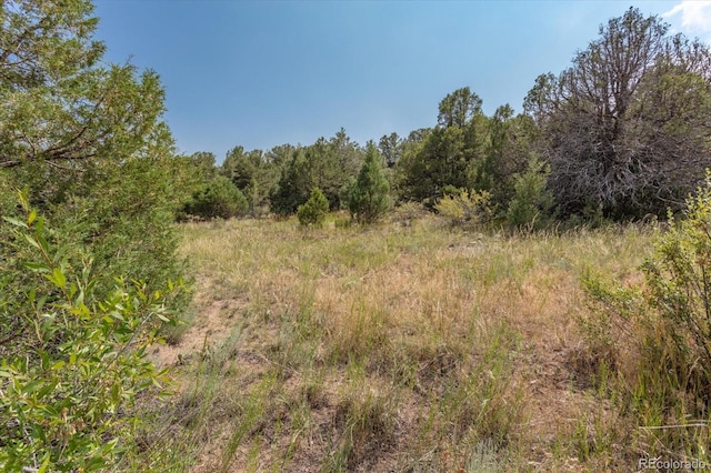 7925 Cozart Ln, Salida, CO 81201 - photo 25