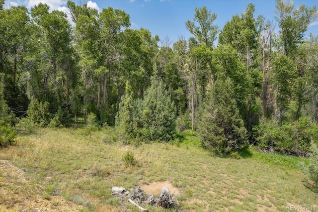 7925 Cozart Ln, Salida CO, 81201 land for sale