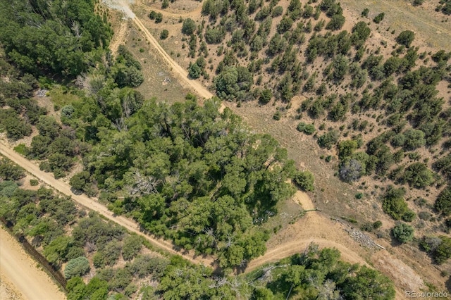 7925 Cozart Ln, Salida, CO 81201 - photo 8