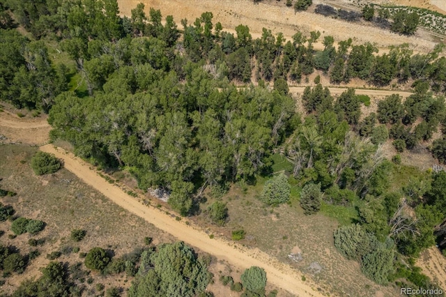 7925 Cozart Ln, Salida, CO 81201 - photo 9