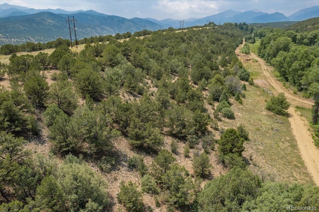 7925 Cozart Ln, Salida, CO 81201 - photo 10