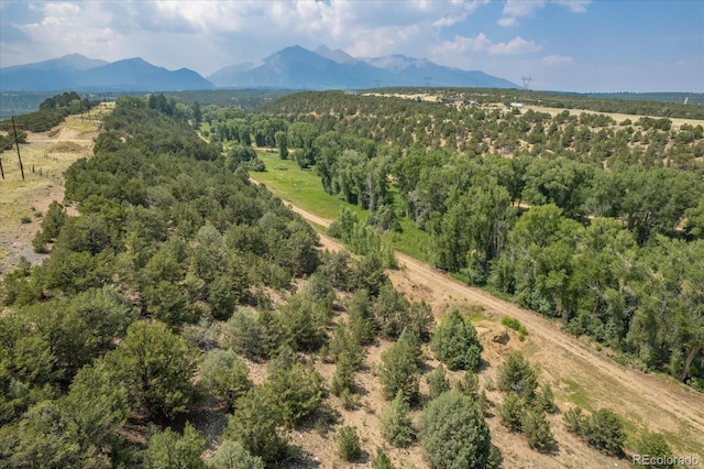 7925 Cozart Ln, Salida, CO 81201 - photo 15