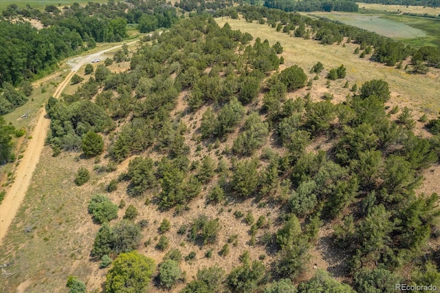 7925 Cozart Ln, Salida, CO 81201 - photo 16