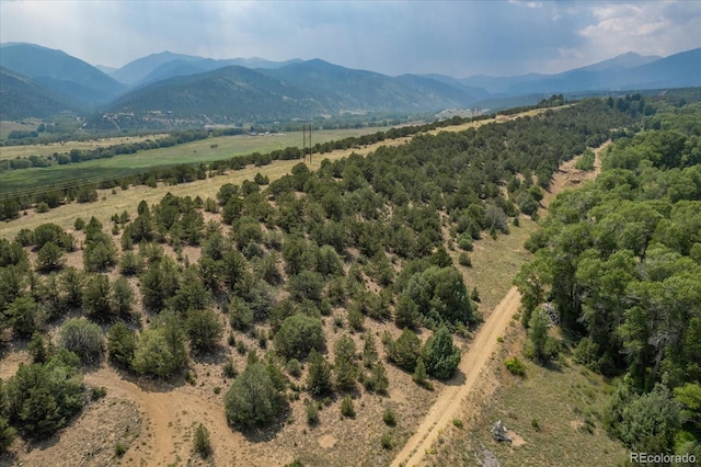 7925 Cozart Ln, Salida, CO 81201 - photo 17