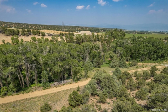 7925 Cozart Ln, Salida, CO 81201 - photo 18