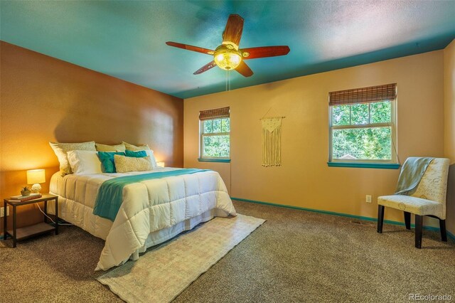 224 N Meade Ave, Colorado Springs, CO 80909 - photo 18