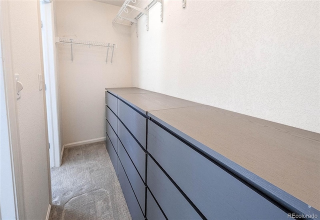 walk in closet with light carpet
