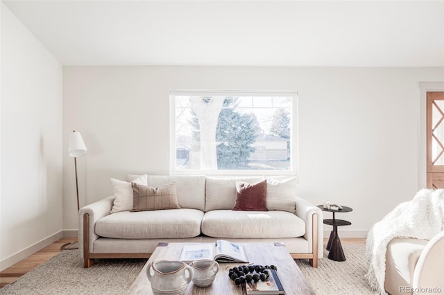 living room with baseboards and wood finished floors