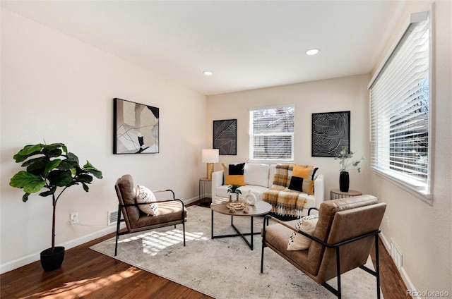 living room with hardwood / wood-style flooring