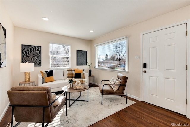 living room featuring dark wood-type flooring