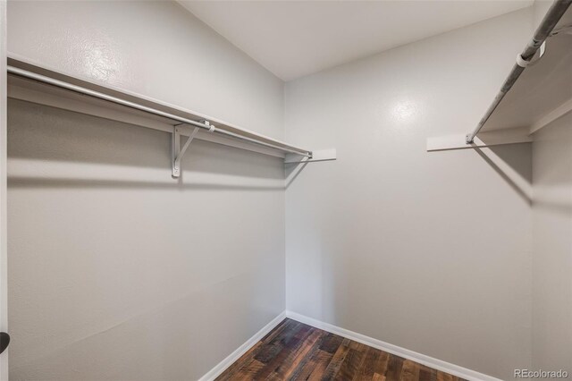 walk in closet featuring dark wood-type flooring