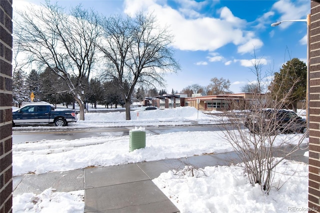 view of snowy yard