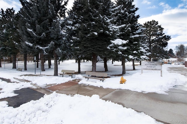 view of yard layered in snow