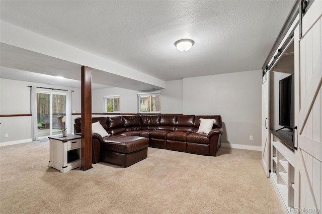17540 Caribou Dr, Monument, CO 80132 - living area featuring light carpet, baseboards, a barn door, and a textured ceiling