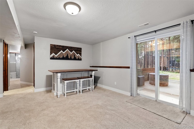 17540 Caribou Dr, Monument, CO 80132 - carpeted spare room with a textured ceiling and baseboards