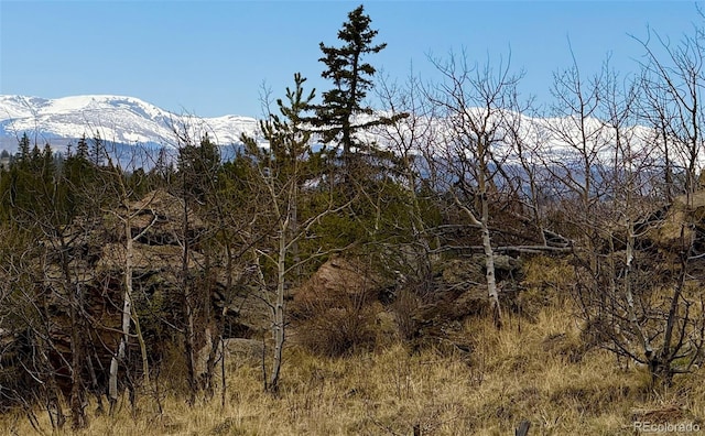 735 Quiver Rd, Jefferson, CO 80456