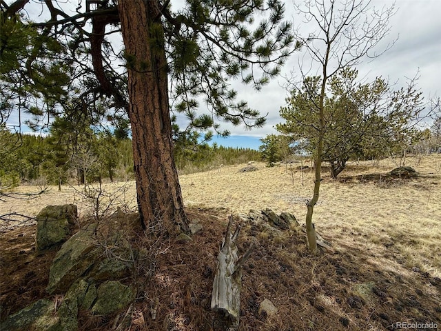 735 Quiver Rd, Jefferson, CO 80456