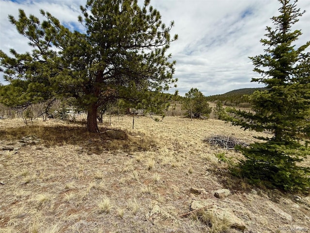 735 Quiver Rd, Jefferson, CO 80456
