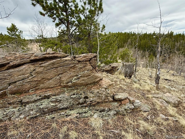 735 Quiver Rd, Jefferson, CO 80456