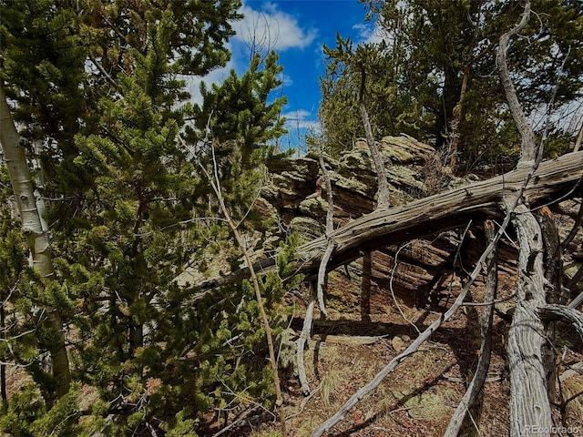 735 Quiver Rd, Jefferson, CO 80456