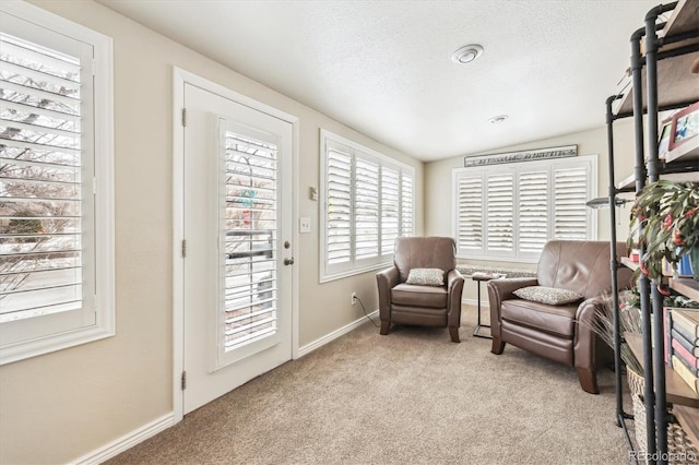 4000 Irving St, Denver, CO 80211 - sitting room featuring carpet flooring, baseboards, and a textured ceiling