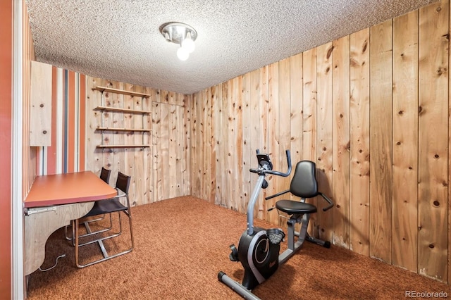 4000 Irving St, Denver, CO 80211 - workout area with carpet, a textured ceiling, and wooden walls