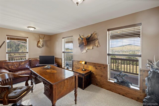 400 W Shideler Ave, Cripple Creek, CO 80813 - photo 15