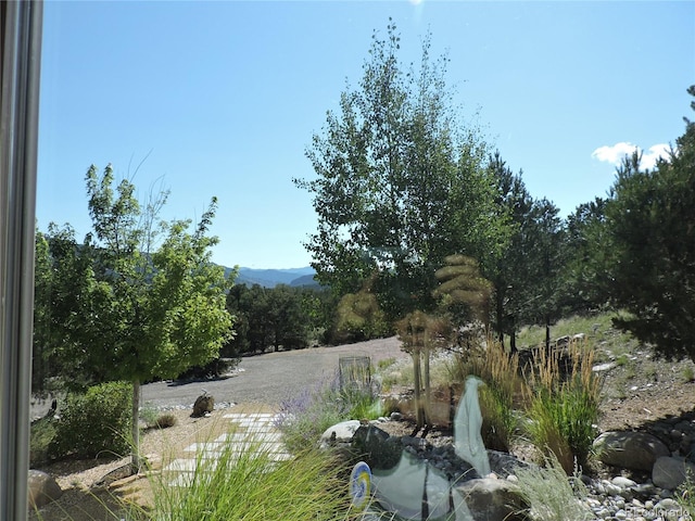 view of nature with a mountain view