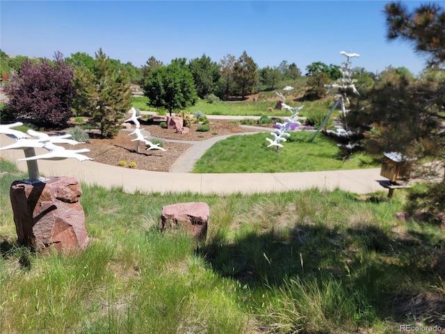 15507 E Louisiana Ave, Aurora, CO 80017 - photo 23